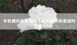 手机要升级系统吗（手机要升级系统吗苹果）