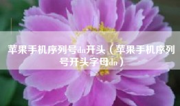 苹果手机序列号dn开头（苹果手机序列号开头字母dn）