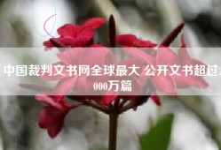 中国裁判文书网全球最大 公开文书超过2000万篇