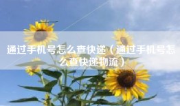 通过手机号怎么查快递（通过手机号怎么查快递物流）