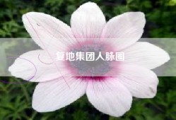 复地集团人脉圈