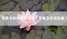 苹果手机如何省流量（苹果怎样省流量）