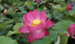 冬至节简报