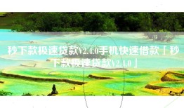秒下款极速贷款V2.4.0手机快速借款「秒下款极速贷款V2.4.0」