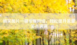 搞笑图片一键引爆网络，轻松提升流量笑点满满