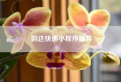 韵达快递小程序插件
