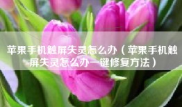 苹果手机触屏失灵怎么办（苹果手机触屏失灵怎么办一键修复方法）