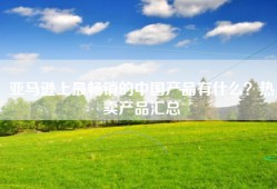 亚马逊上最畅销的中国产品有什么？热卖产品汇总