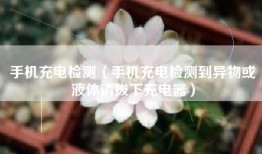 手机充电检测（手机充电检测到异物或液体请拔下充电器）