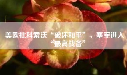 美欧批科索沃“破坏和平”，塞军进入“最高战备”