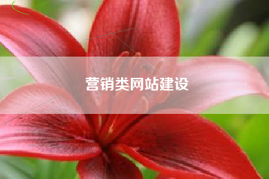 营销类网站建设