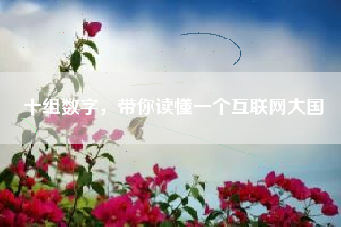 十组数字，带你读懂一个互联网大国