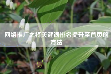 网络推广之将关键词排名提升至首页的方法