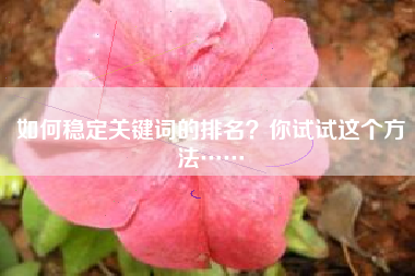 如何稳定关键词的排名？你试试这个方法……