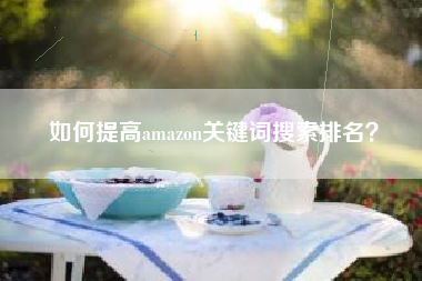 如何提高amazon关键词搜索排名？