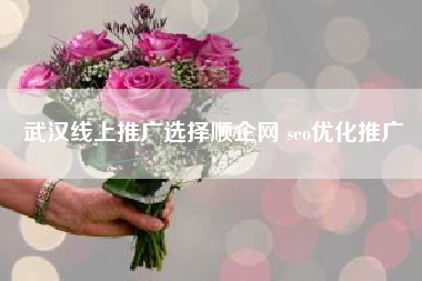 武汉线上推广选择顺企网 seo优化推广