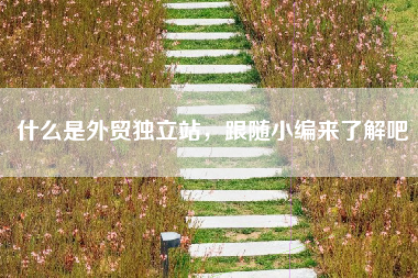 什么是外贸独立站，跟随小编来了解吧