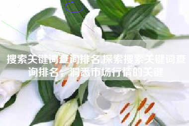搜索关键词查询排名,探索搜索关键词查询排名，洞悉市场行情的关键