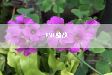 EMC整改