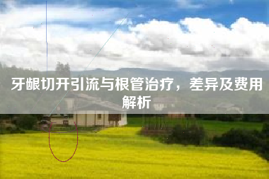 牙龈切开引流与根管治疗，差异及费用解析