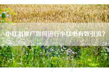 小红书推广如何进行小红书有效引流？