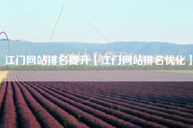 江门网站排名提升【江门网站排名优化】