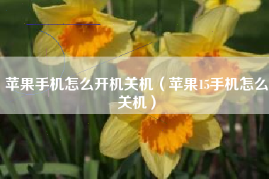 苹果手机怎么开机关机（苹果15手机怎么关机）