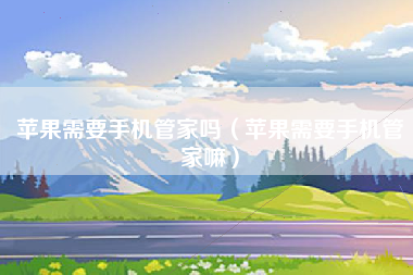 苹果需要手机管家吗（苹果需要手机管家嘛）