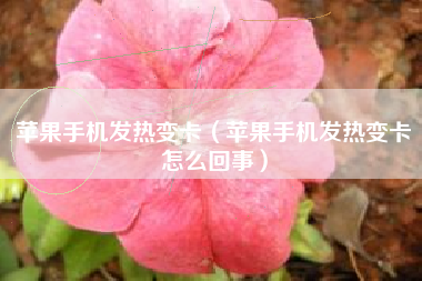 苹果手机发热变卡（苹果手机发热变卡怎么回事）