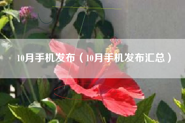 10月手机发布（10月手机发布汇总）