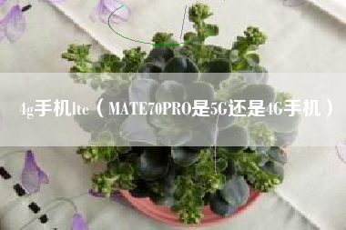 4g手机lte（MATE70PRO是5G还是4G手机）