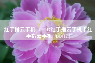 红手指云手机  4.0.017红手指云手机「红手指云手机  4.0.017」