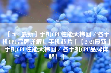 【2021最新】手机CPU性能天梯图／各手机CPU品牌详解！手机芯片「【2021最新】手机CPU性能天梯图／各手机CPU品牌详解！」