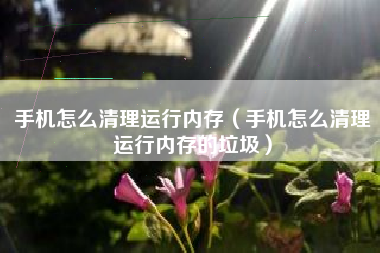手机怎么清理运行内存（手机怎么清理运行内存的垃圾）