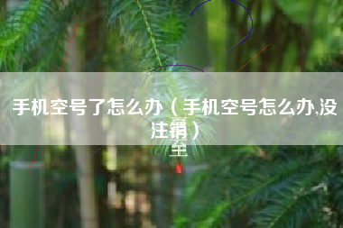 手机空号了怎么办（手机空号怎么办,没注销）