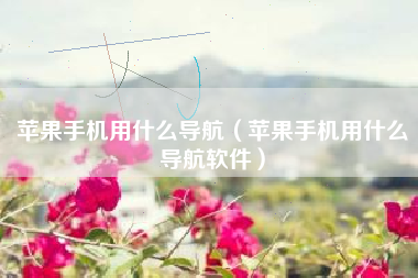 苹果手机用什么导航（苹果手机用什么导航软件）