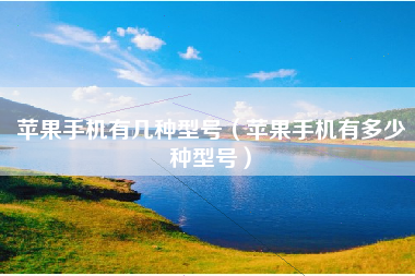 苹果手机有几种型号（苹果手机有多少种型号）