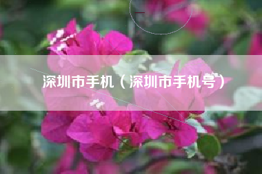 深圳市手机（深圳市手机号）