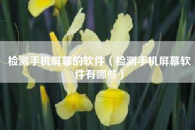 检测手机屏幕的软件（检测手机屏幕软件有哪些）