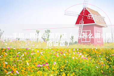vivo手机4g网络设置方法（vivo怎么调4g网络设置）
