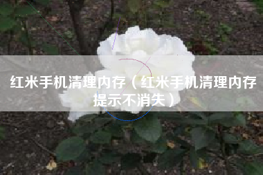 红米手机清理内存（红米手机清理内存提示不消失）