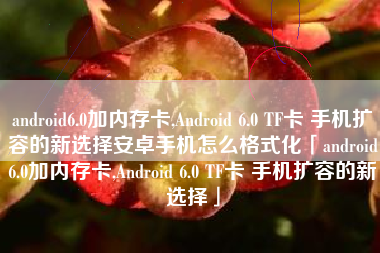android6.0加内存卡,Android 6.0 TF卡 手机扩容的新选择安卓手机怎么格式化「android6.0加内存卡,Android 6.0 TF卡 手机扩容的新选择」