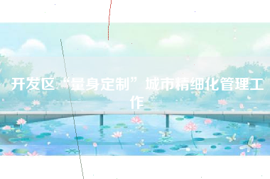 开发区“量身定制”城市精细化管理工作